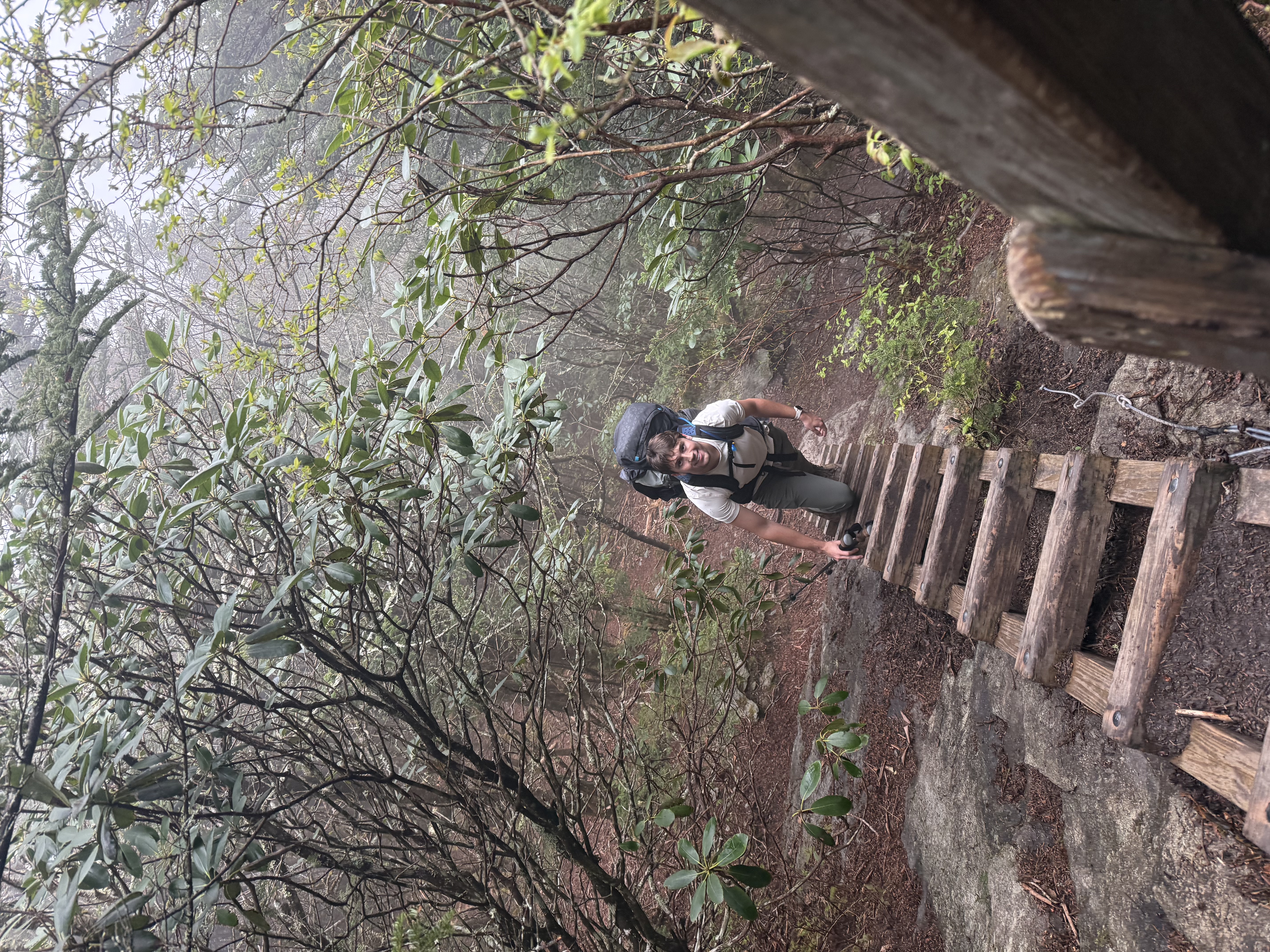 Climbing a ladder